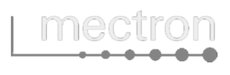 Mectron Piezo